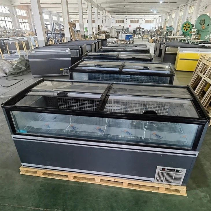 Curved Glass Display Freezer