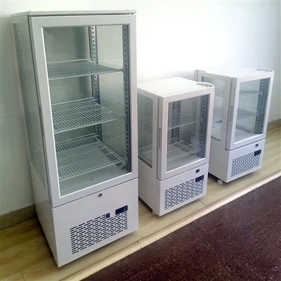 미니 쇼케이스 냉각기
